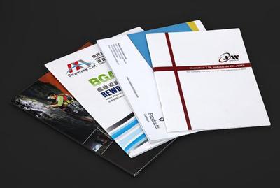 西宁网页与网站设计 数字化时代的发展机遇与实践探索